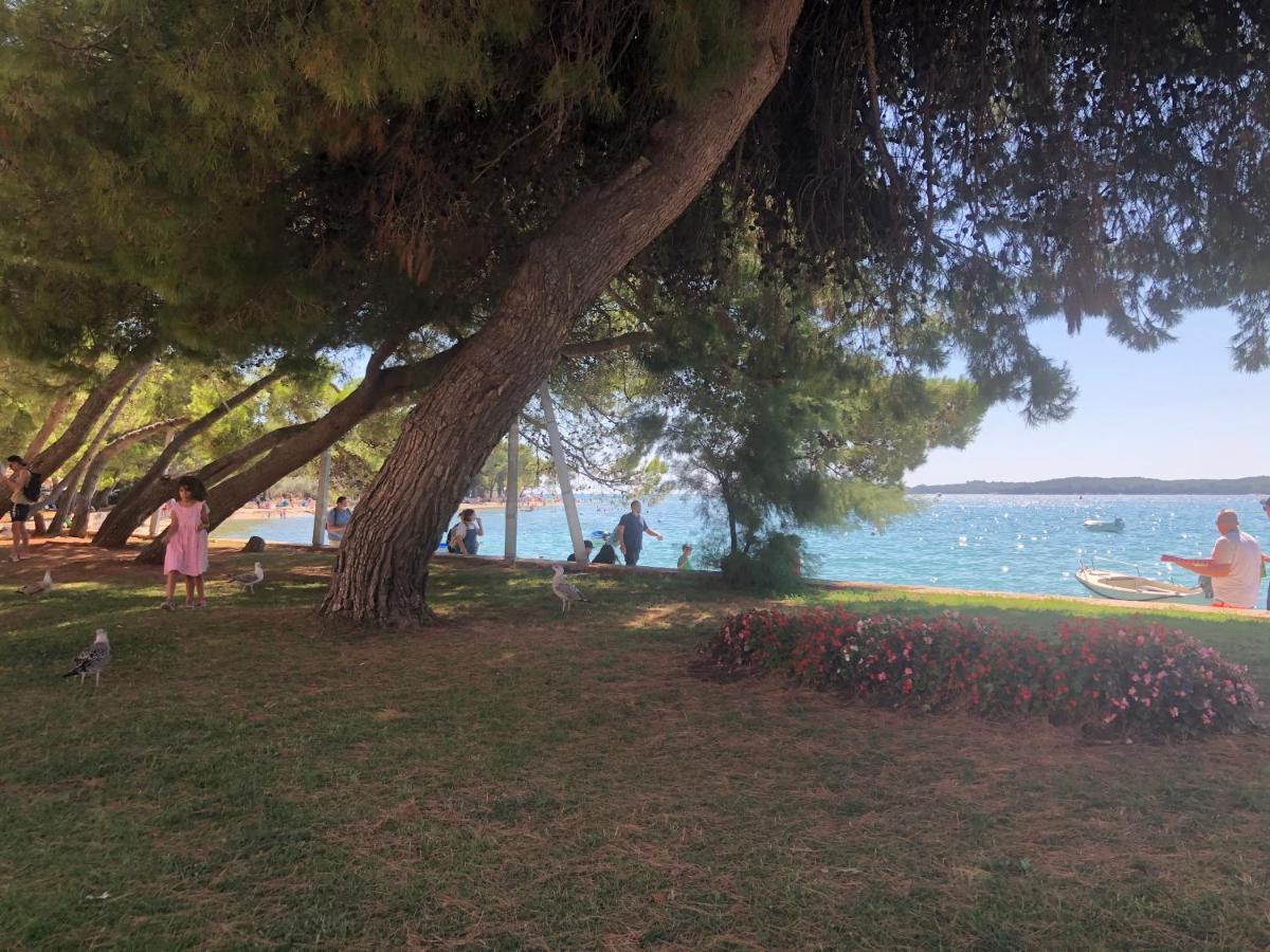 Istrian Stone House In The Heart Of The Beautiful Fishing Village Fazana - Only Few Steps From The Sea And The Wonderful Beach - Incl Plasma-Quad-Plus-Filter Against C O V I D Esterno foto
